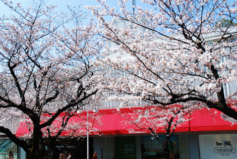 032710e.jpg