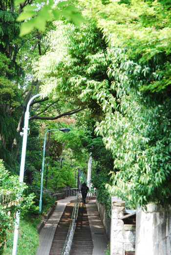 050611o.jpg