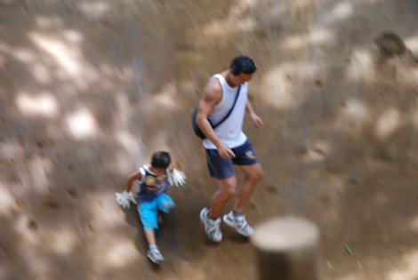 082910b.jpg