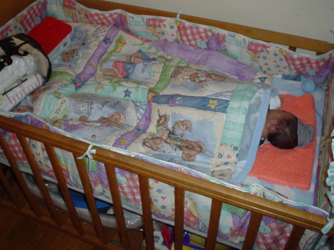 baby13.jpg