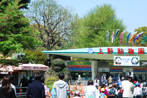 panpan7.jpg